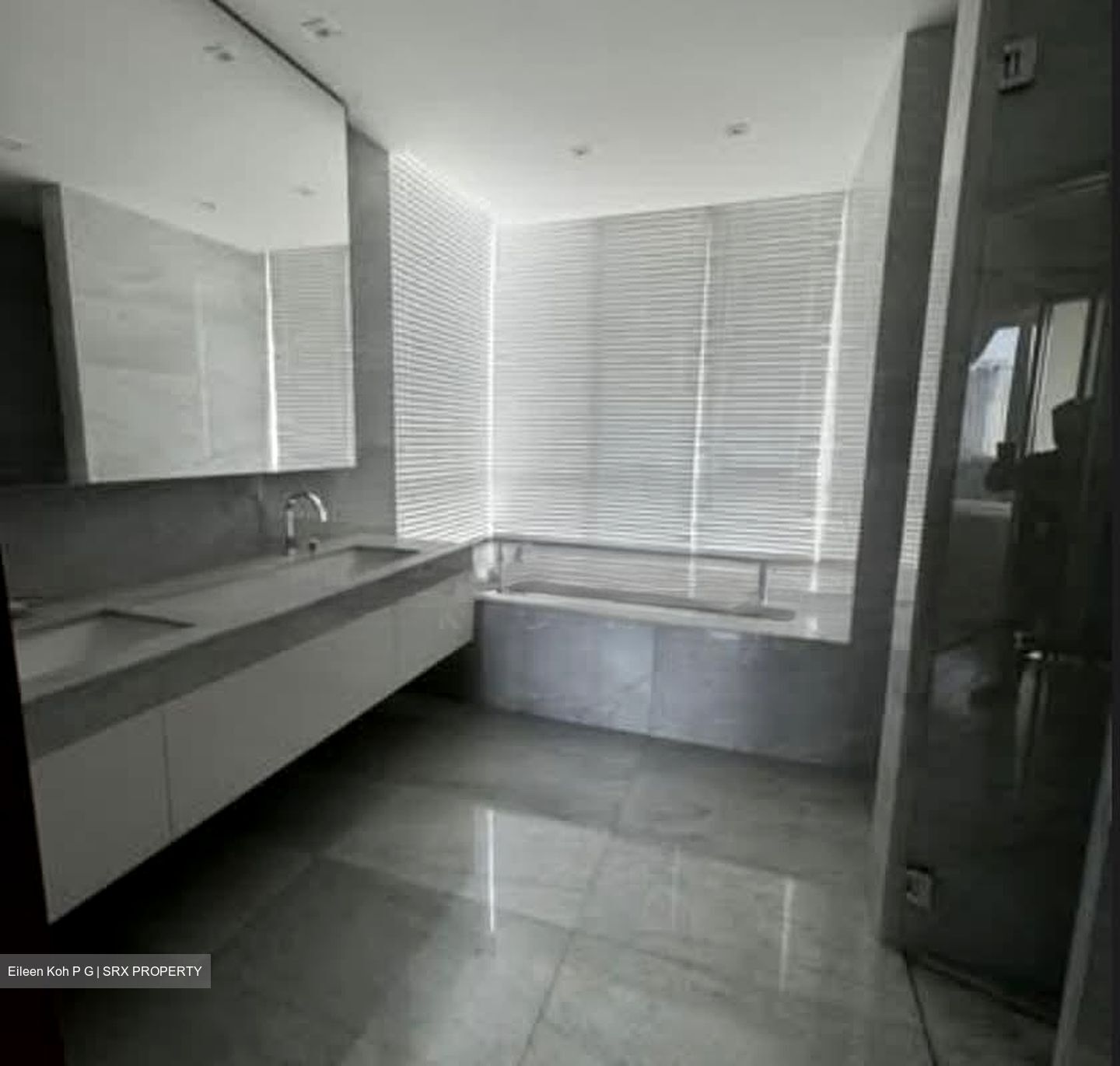 Orchard View (D9), Apartment #576488811